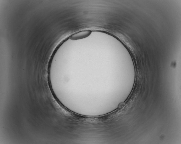 X0000099551189200806061510