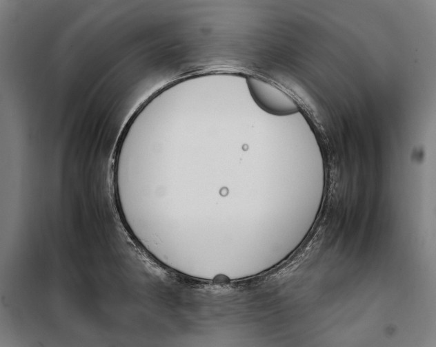 X0000099551190200806061510