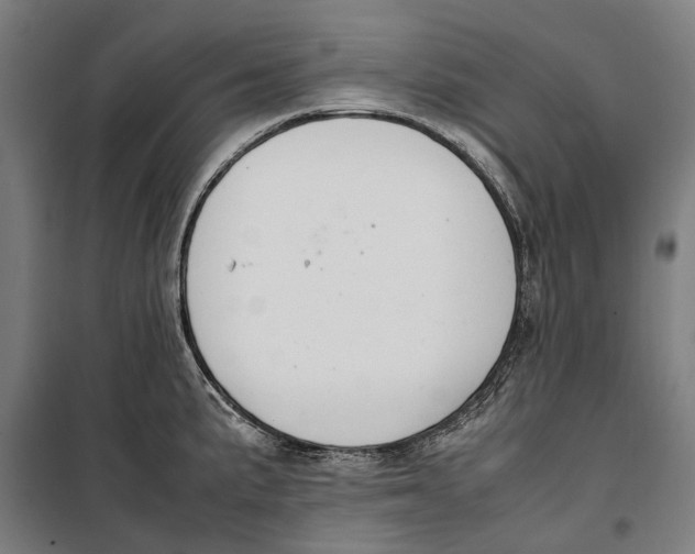 X0000099551191200806061510