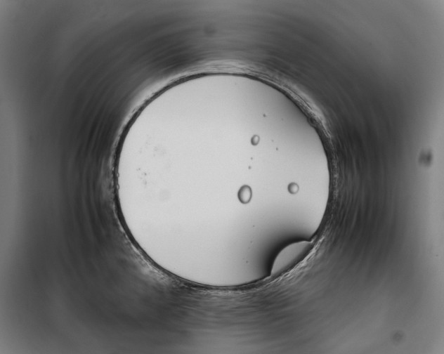 X0000099551192200806061510