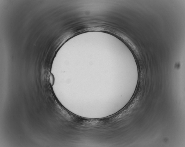 X0000099551193200806061510