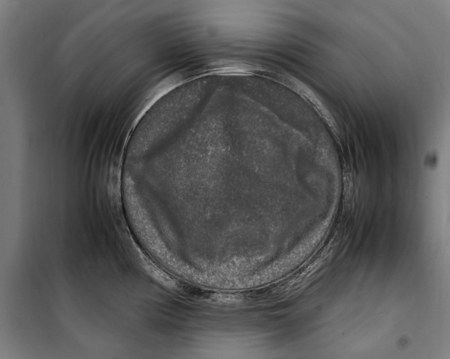 X0000099551194200806061509