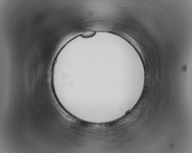 X0000099551195200806061509