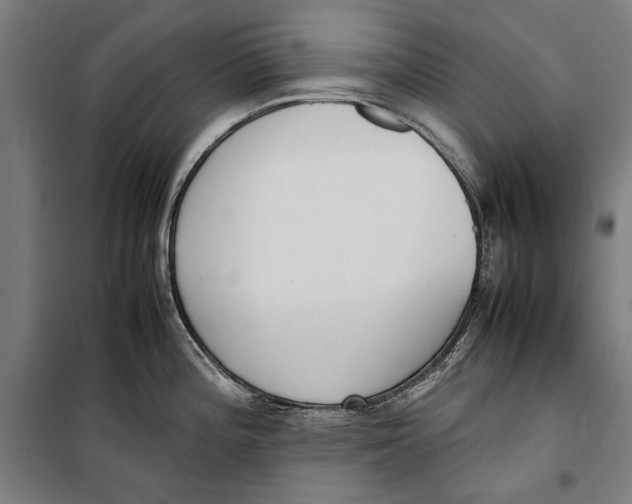 X0000099551196200806061509