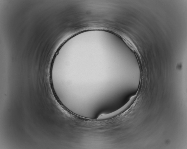 X0000099551197200806061509