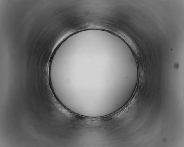 X0000099551198200806061509