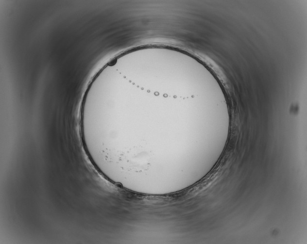 X0000099551199200806061509