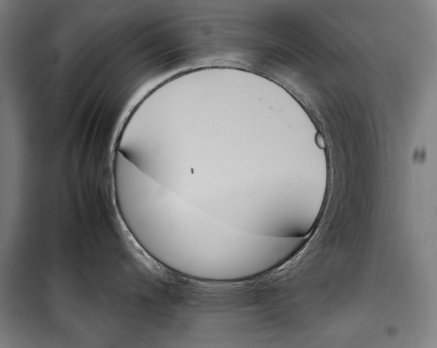 X0000099551200200806061509