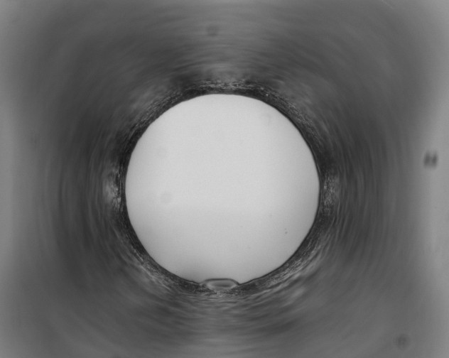 X0000099551202200806061509