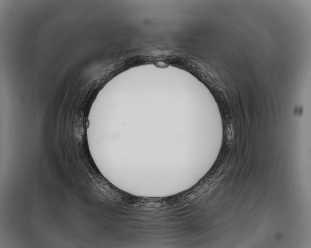 X0000099551204200806061509