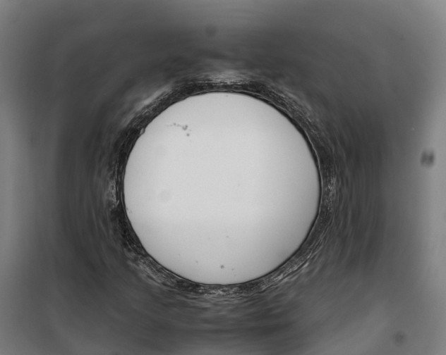 X0000099551205200806061509