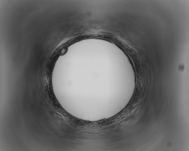 X0000099551206200806061509