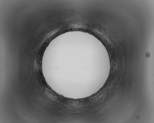 X0000099551207200806061509