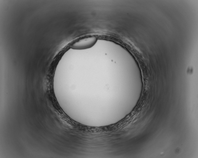 X0000099551208200806061509