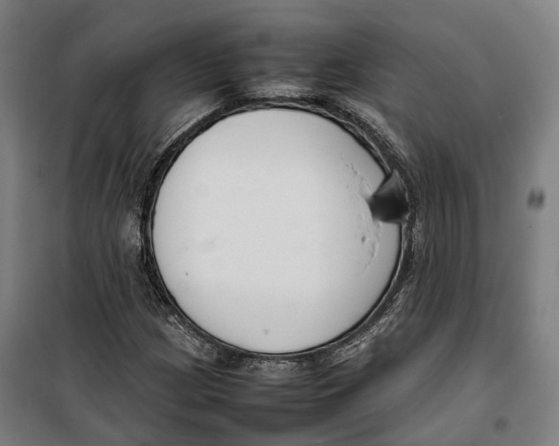 X0000099551209200806061509