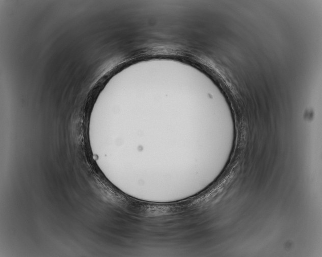 X0000099551211200806061509