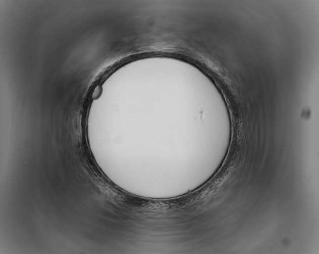 X0000099551214200806061509