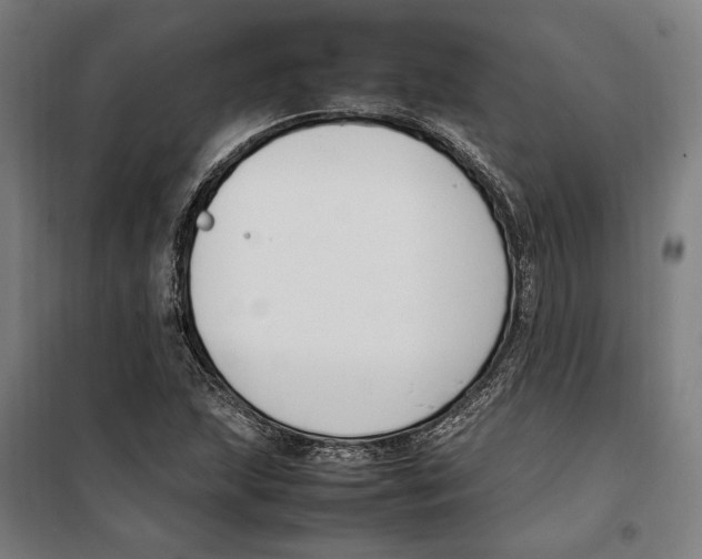 X0000099551215200806061509