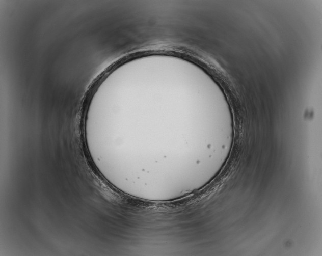 X0000099551216200806061509