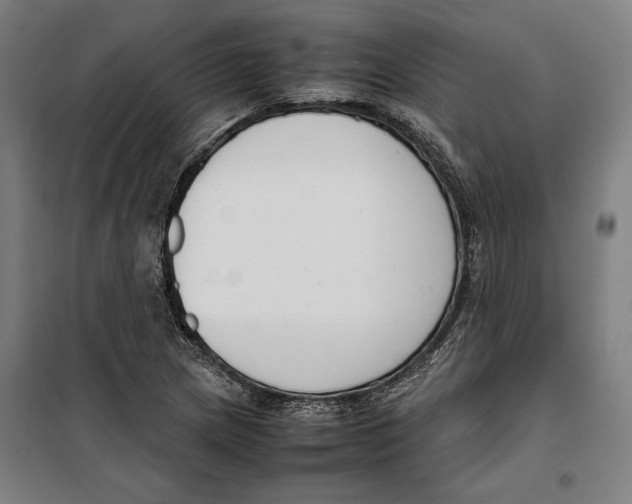 X0000099551217200806061509