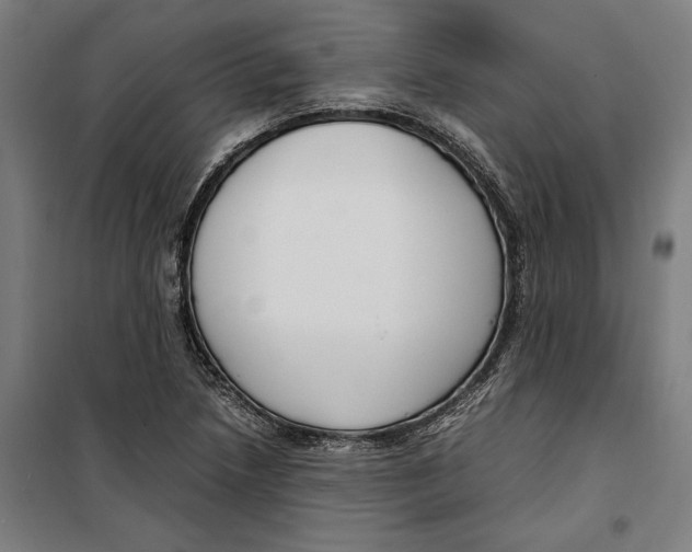 X0000099551218200806061509