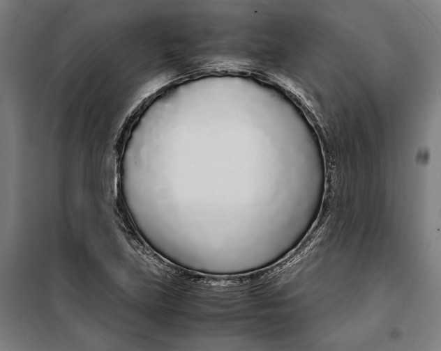 X0000099551219200806061509