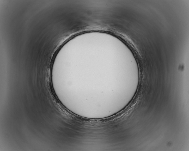 X0000099551220200806061509