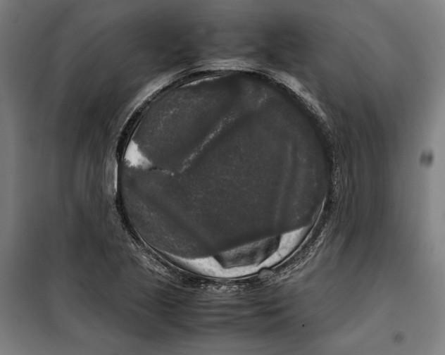 X0000099551221200806061509