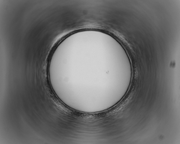 X0000099551222200806061509