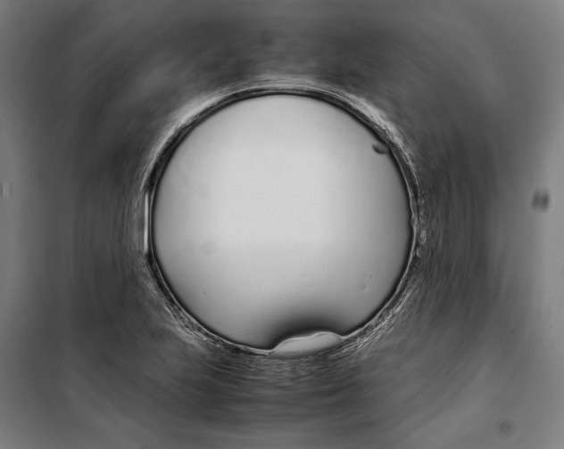 X0000099551223200806061509