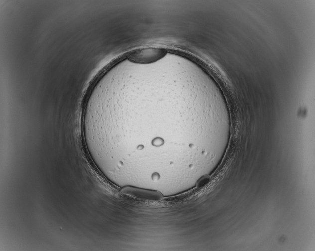 X0000099551224200806061509