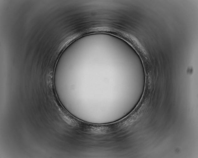 X0000099551225200806061509