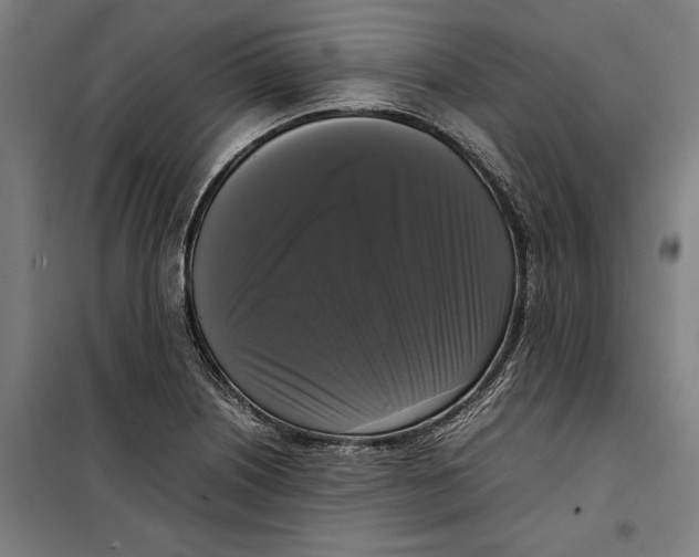 X0000099551226200806061509