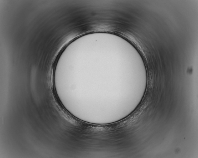 X0000099551227200806061509