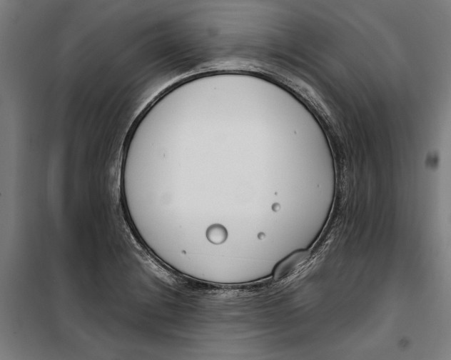 X0000099551228200806061509