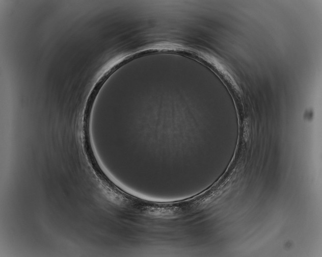 X0000099551229200806061509