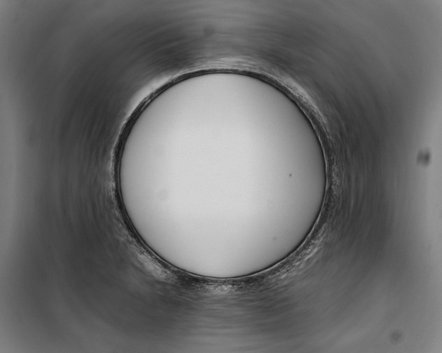 X0000099551230200806061509