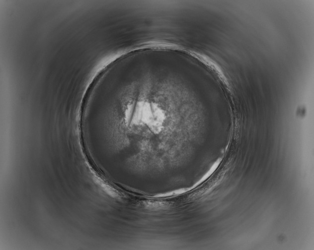 X0000099551231200806061509