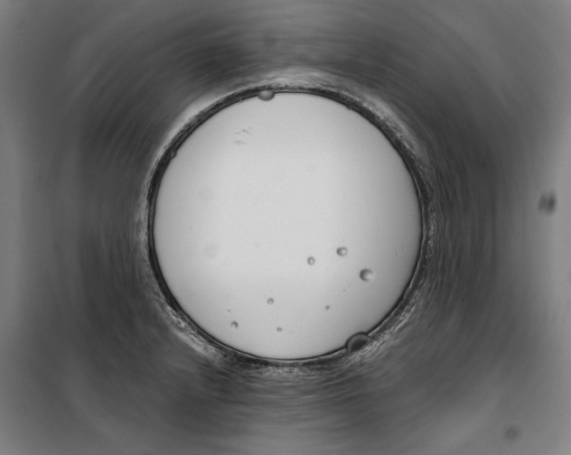 X0000099551232200806061509