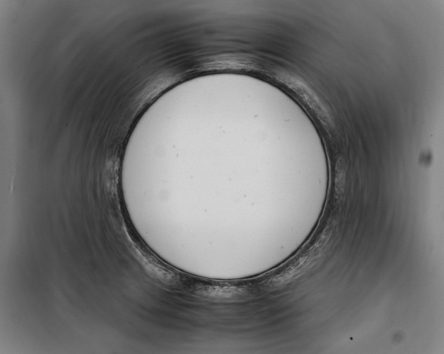 X0000099551233200806061509