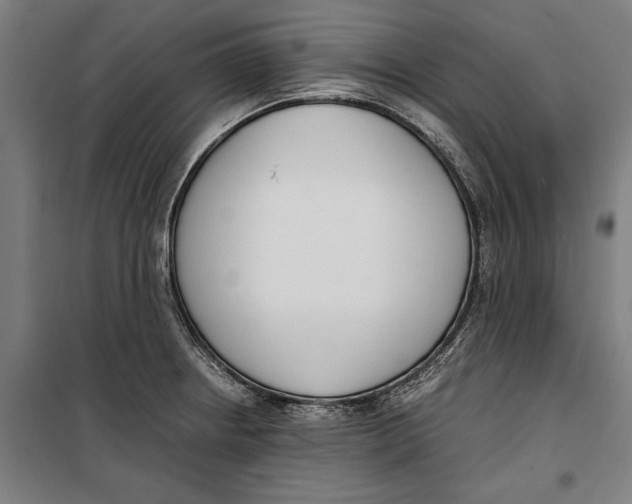 X0000099551234200806061509