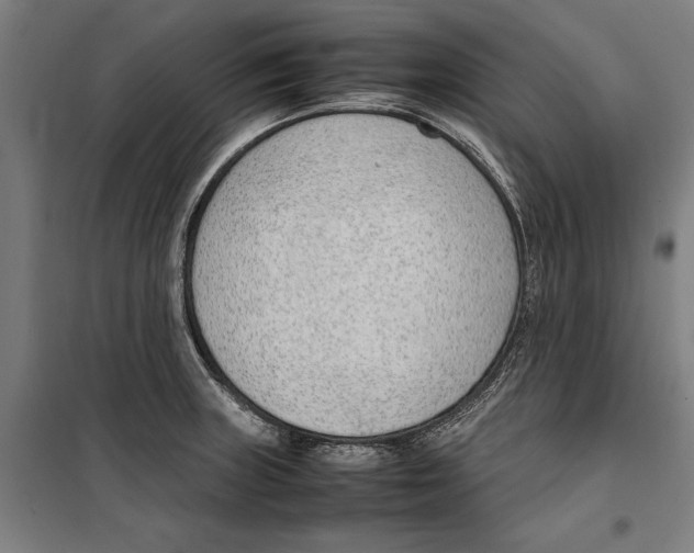 X0000099551235200806061509