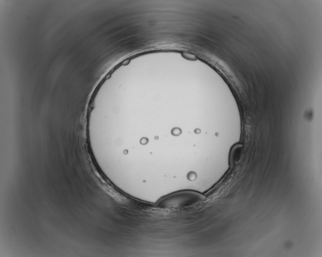 X0000099551236200806061509