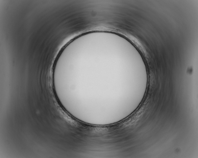 X0000099551238200806061509