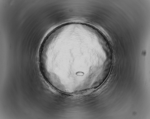 X0000099551240200806061509