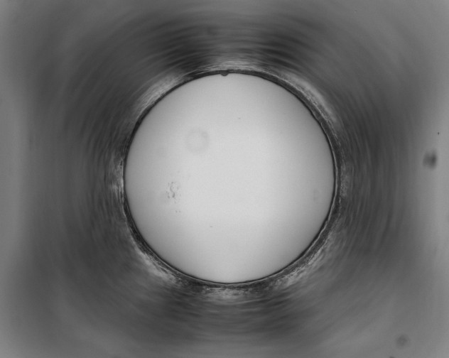 X0000099551241200806061509