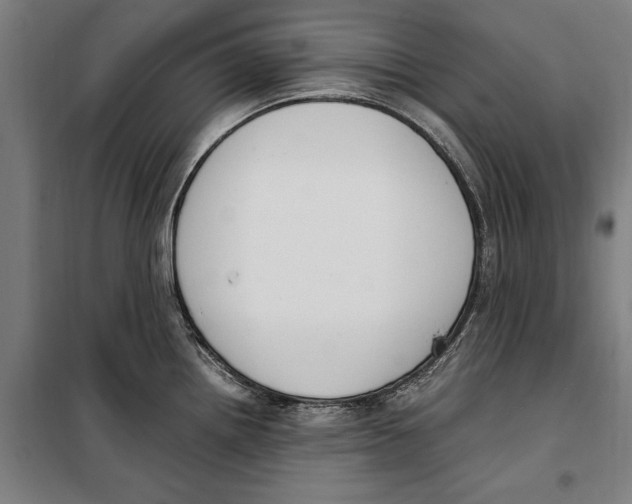 X0000099551242200806061509