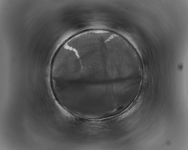 X0000099551245200806061509