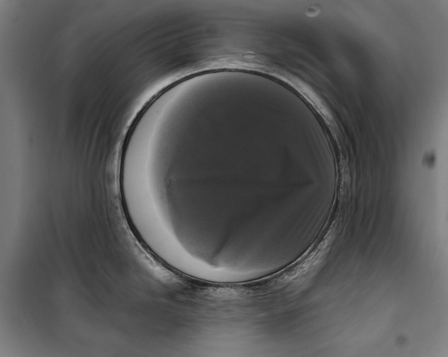 X0000099551246200806061509