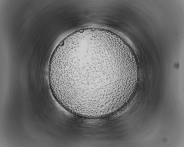 X0000099551247200806061509